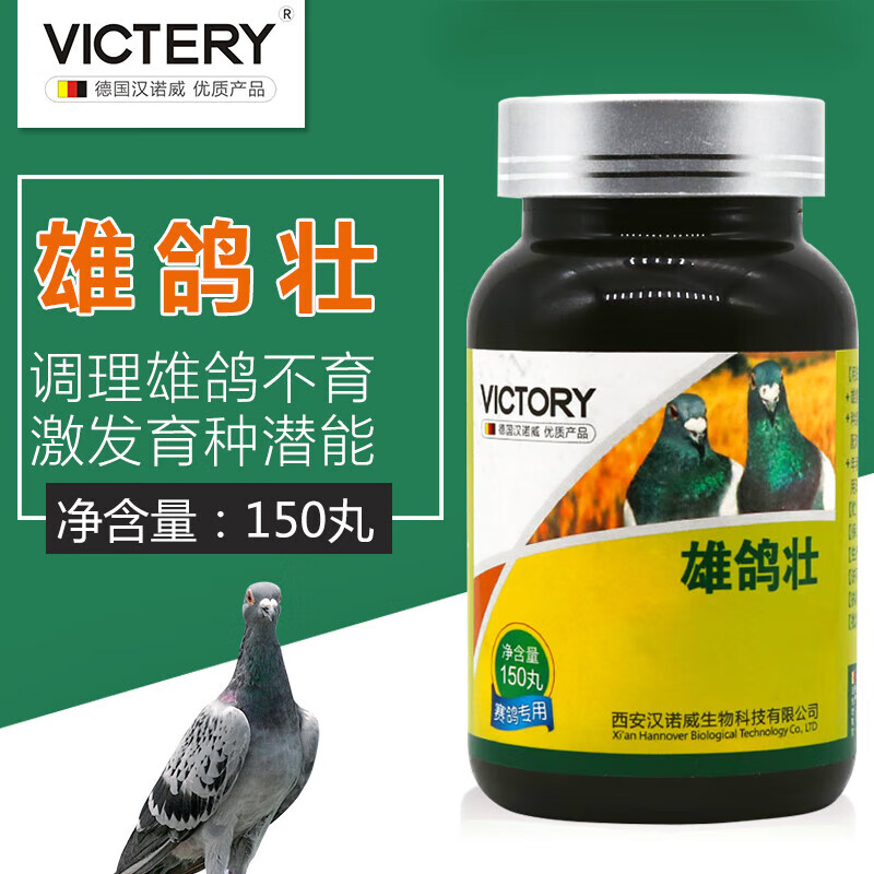 victery雄鸽宝汉诺威鸽业雄鸽壮激发育种潜能信鸽配对雄鸽鸽子用品