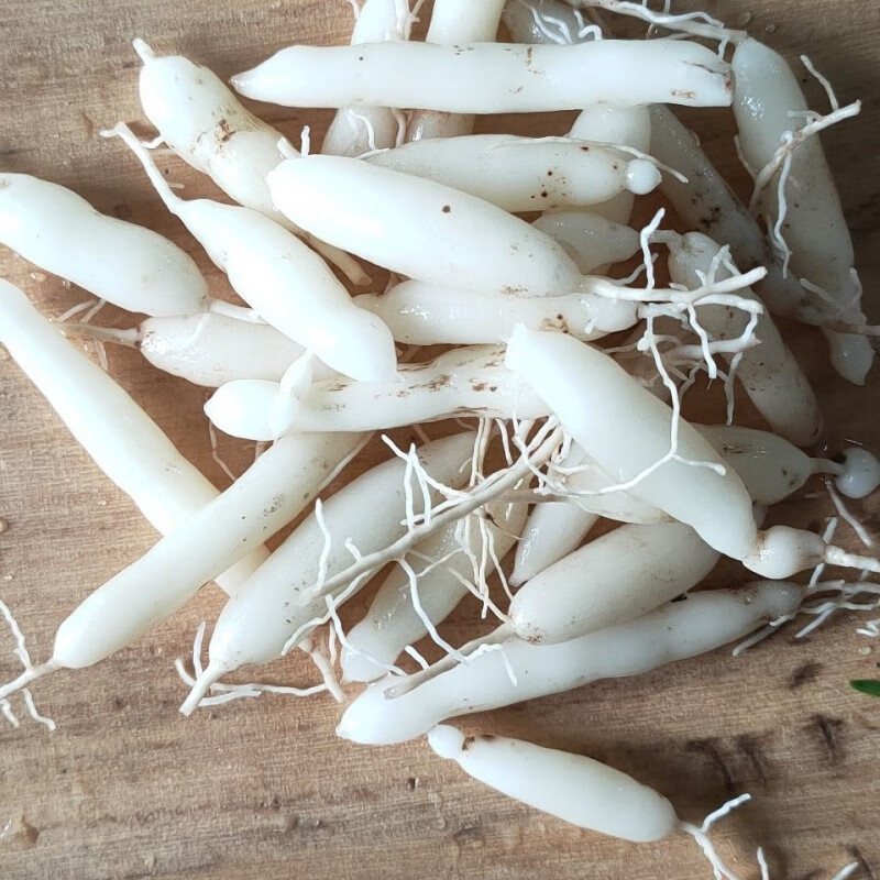 2021现挖鲜麦冬农家自产自销鲜麦冬果人工挑选粒大饱满新品 鲜麦冬1斤