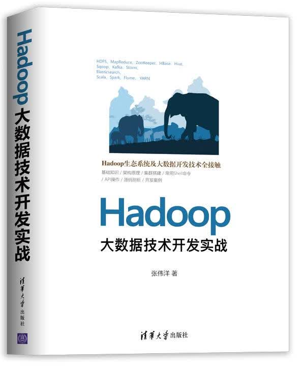 【新华书店正版图书】Hadoop大数据技术开发实战 张伟洋 著 清华大学出版社 正版图书