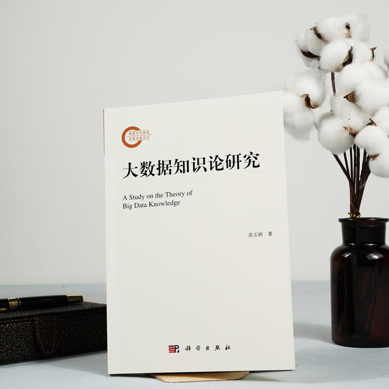 大数据知识论研究详情图