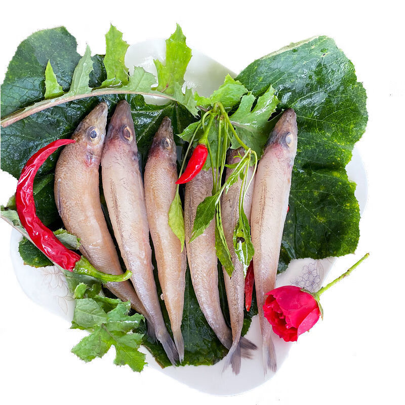 国产新鲜沙丁鱼冷冻沙尖鱼中大海鲜金色沙钻鱼国产天然沙梭鱼 10cm约