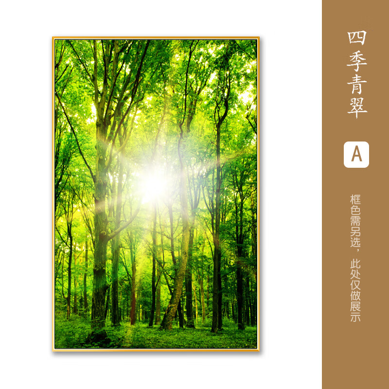 【轻奢高端】玄关画森林现代简约竖版绿色森林护眼装饰画玄关过道走廊