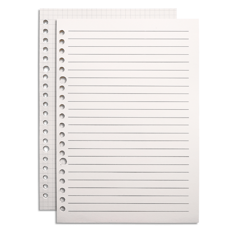 金值2本裝a5活頁替芯120張橫線本+網(wǎng)格款20孔筆記本子方格A5活頁夾扣環(huán)可拆卸線圈本替換芯加厚大