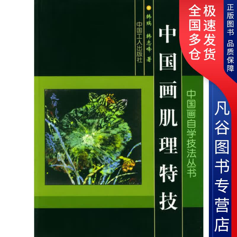【正版书】中国画肌理特技