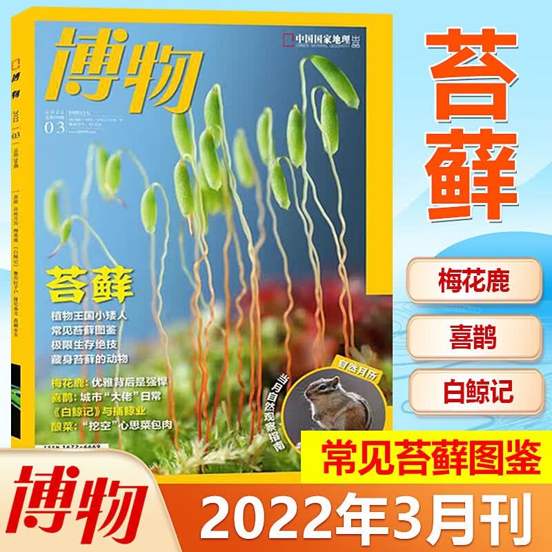 现货 博物杂志 2022年3月苔藓