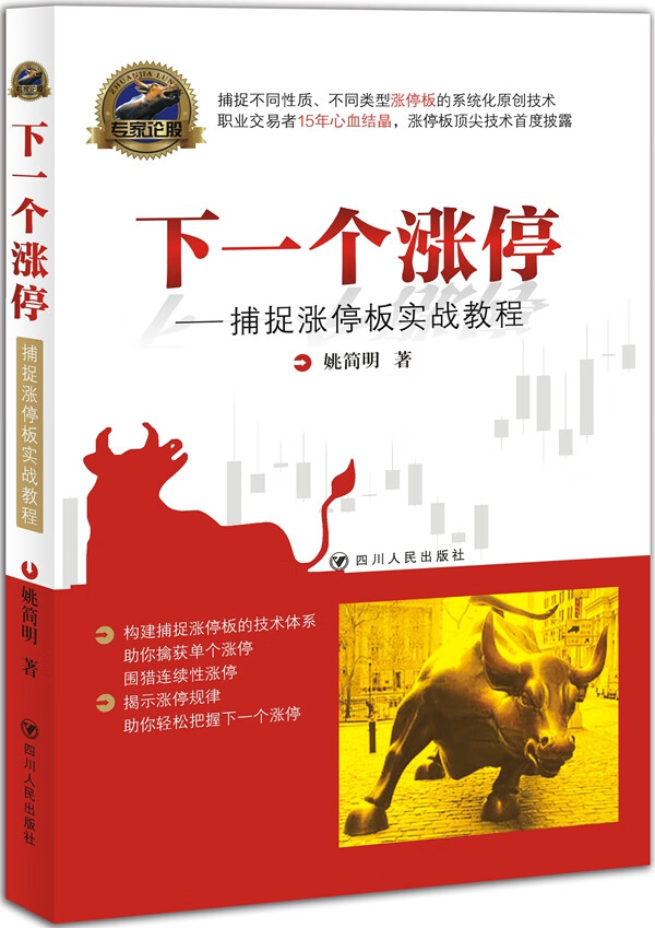 下一个涨停——捕捉涨停板实战教程