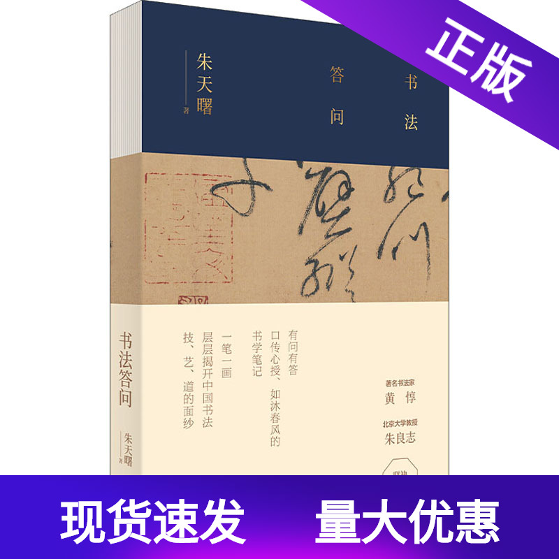 书法答问 朱天曙 著 书法理论 艺术 上海人民出版社