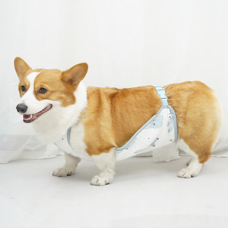 SLPC狗狗肚兜柯基护肚子防脏小狗幼犬防着凉肚兜中大型犬外出保暖肚兜 歪歪兔（母款） S（建议10-15斤）泰迪比熊法斗