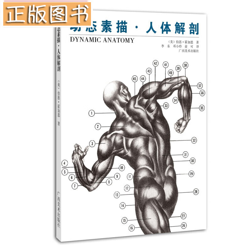 动态素描全5册多规格自选人体结构+头部结