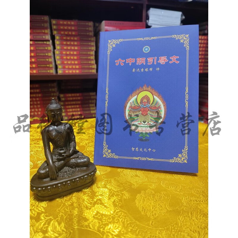 【正版现货】六中阴引导文 索daji师讲译
