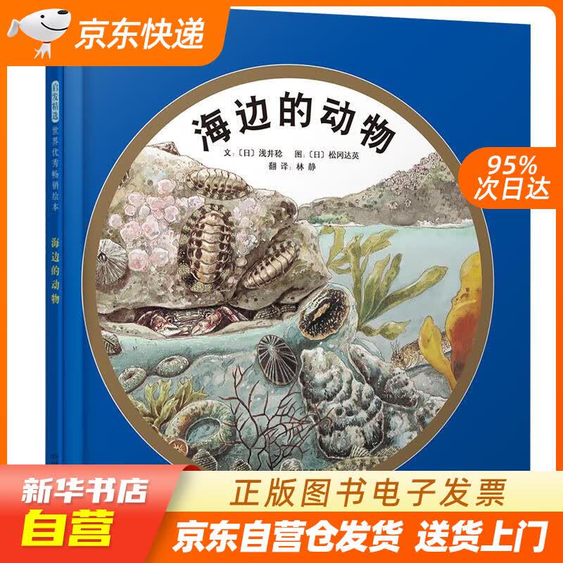 【新华书店正版】海边的动物（启发童书馆出品） 浅井稔, 松冈达英, 林静 河北教育出版社 9 正版图书籍