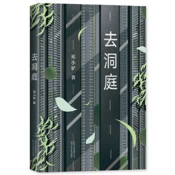 去洞庭