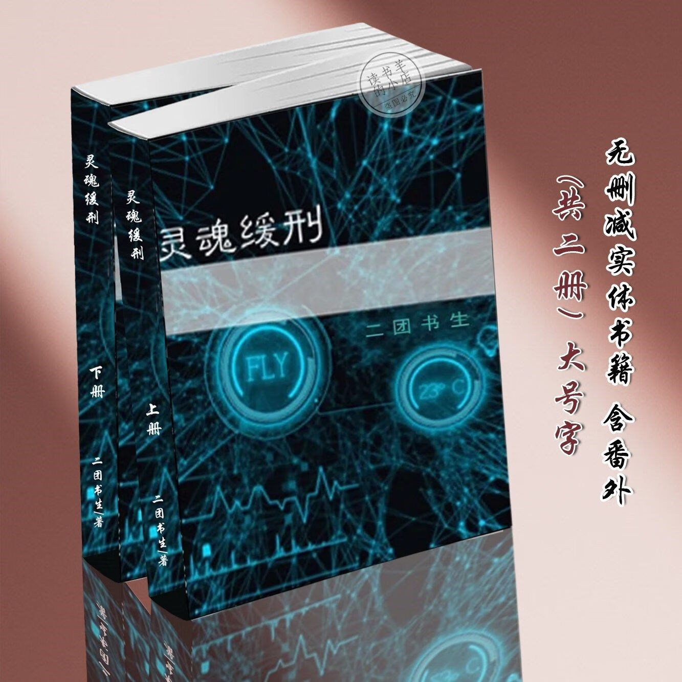 灵魂缓刑 完结 (含2篇无删番外)全集 默认