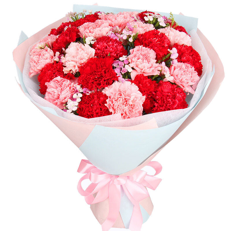 鲜花速递29朵康乃馨花束送长辈母亲节生日礼物全国花店同城配送 妈妈