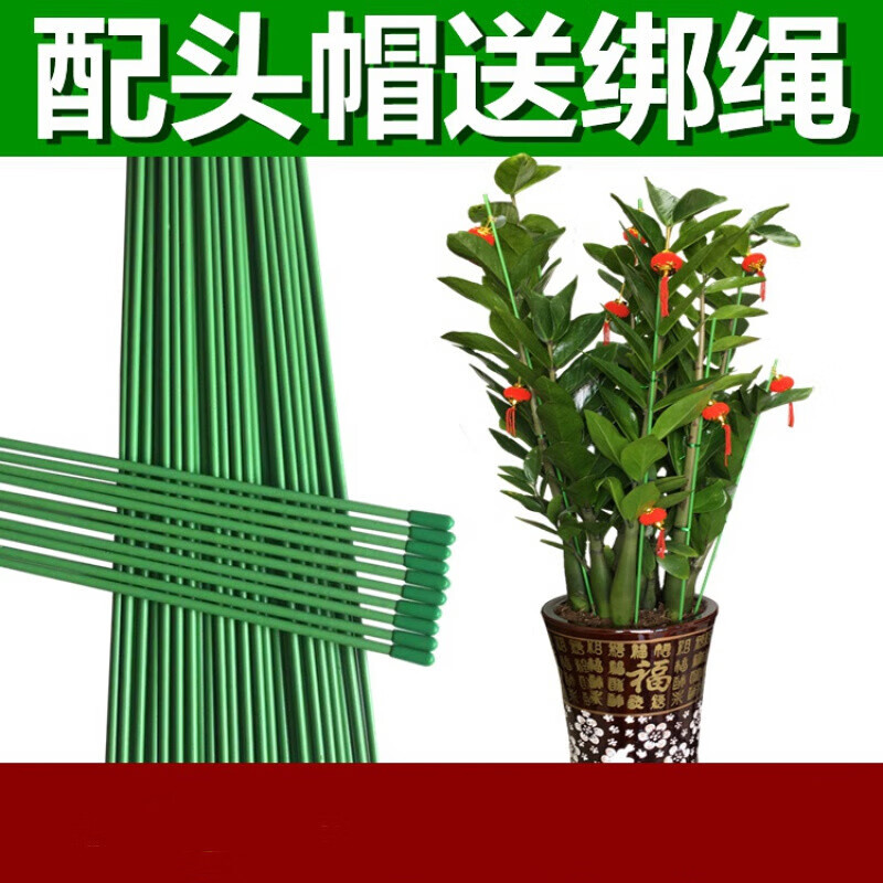 文竹支架制作方法图片