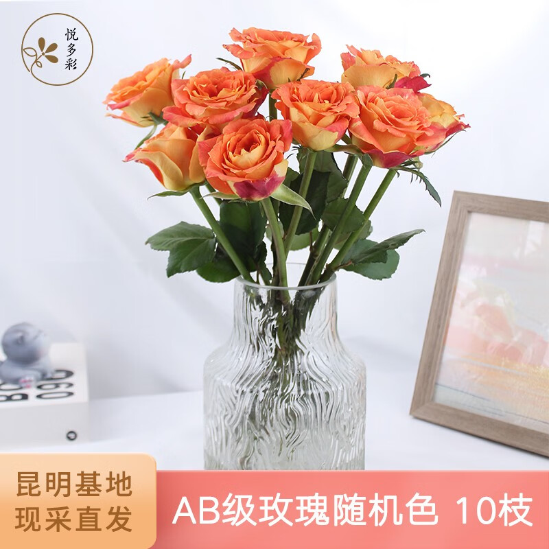 悦多彩AB级优质香水百合 家庭办公室各色生活鲜花 昆明基地 现采直发 单头玫瑰10支（随机色）怎么看?