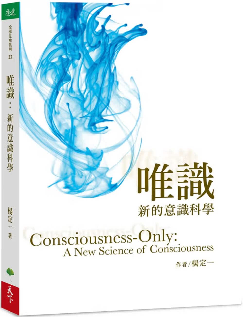 现货唯识 新的意识科学 港台原版 杨定一 天下生活 心灵成长 真原医