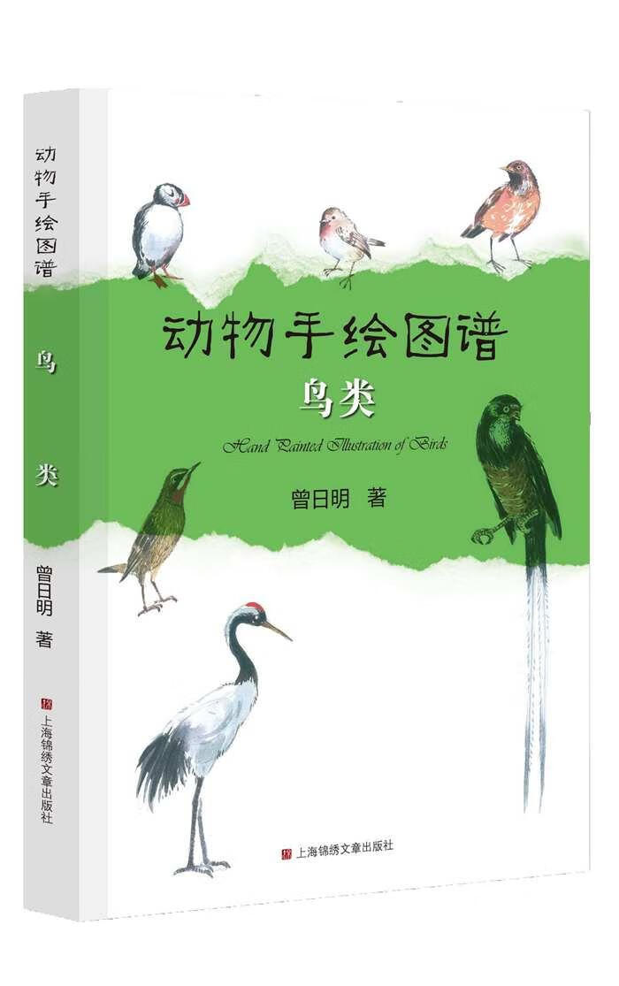 鸟类-动物手绘图谱 科普读物 曾日明著 上海锦绣文章出版社