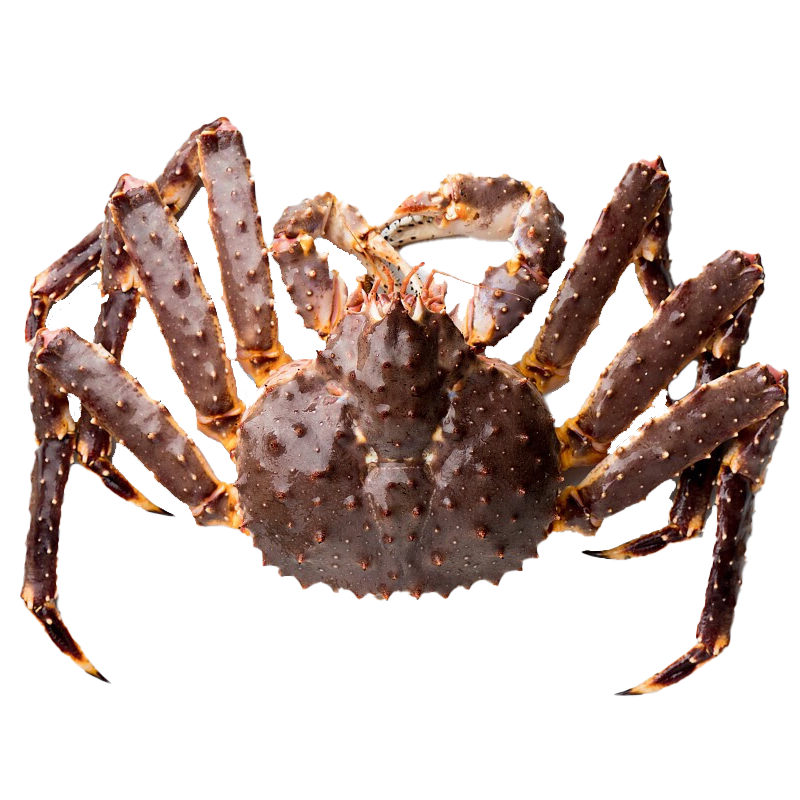 ���ڲ������ʳ� ����з������ʴ���а�����˹�ʻ��ٶ��з����˹�ӻʵ�з ����з��4.0-4.5�˳������ �ʻ��ٶ�