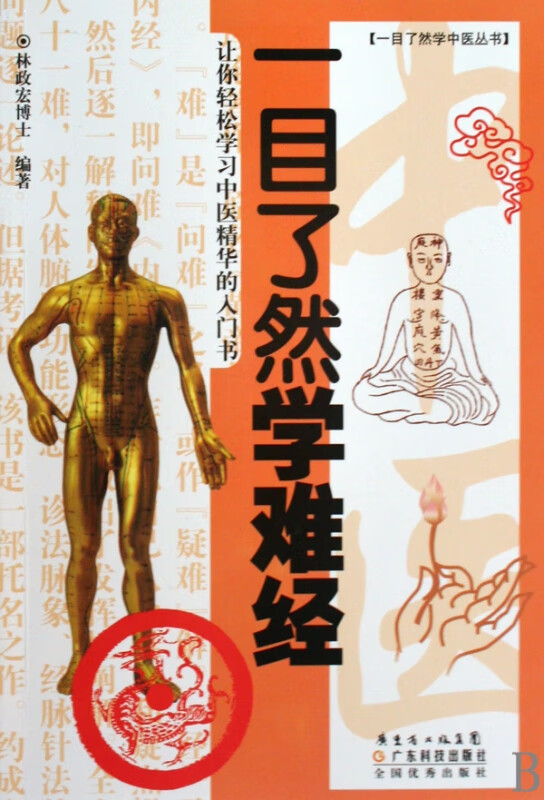 一目了然学难经/一目了然学中医丛书