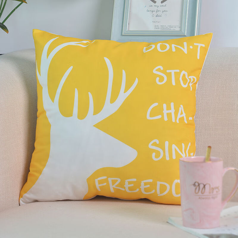 客厅沙发抱枕午睡枕床头靠背座椅腰枕靠垫靠枕 a 40x40cm【单独枕套