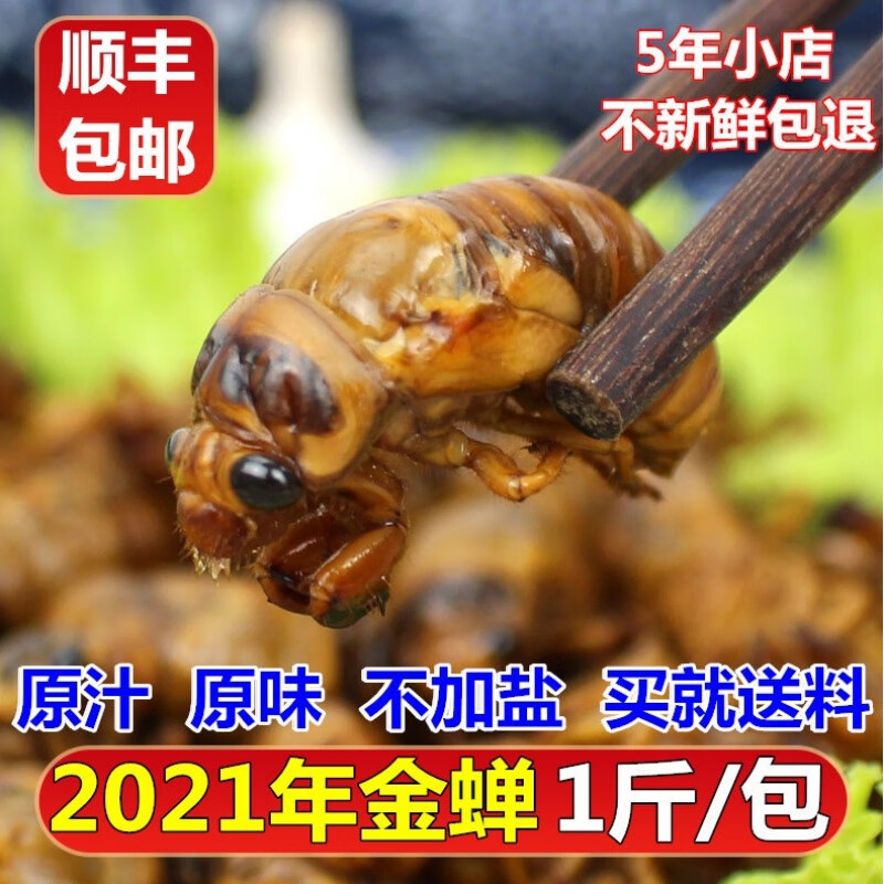 知了猴新鲜活体金蝉冷冻结了龟爬叉猴非即食油炸蚕蝉蛹 一斤知了猴