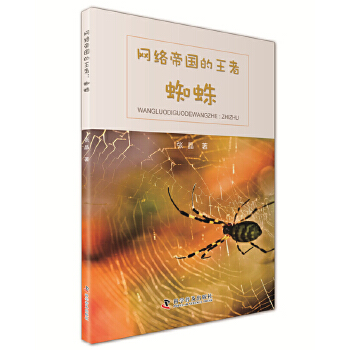 网络帝国的王者:蜘蛛