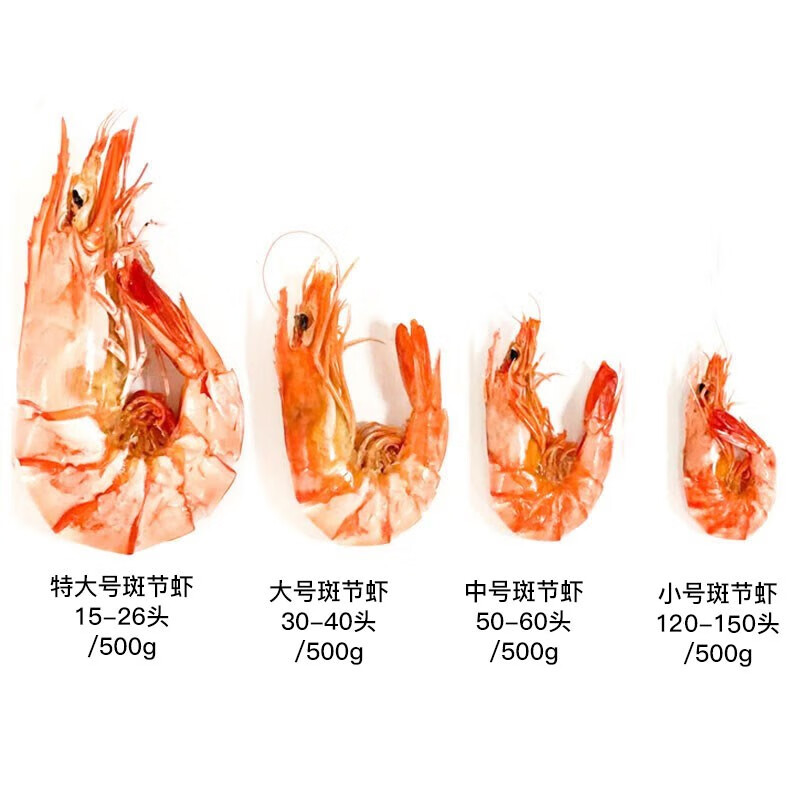 海鲜颂即食九节烤虾干九节虾干 特大斑节虾干500g