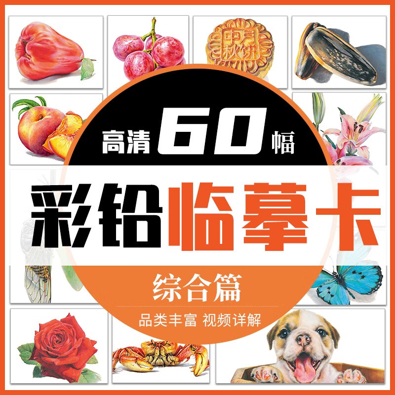 彩铅临摹卡花卉篇+动物篇+美食篇+综合篇四册 一线美誉步骤对应视频教学美术绘画卡片兴趣高清原创彩铅美术临摹学习卡片 彩铅综合篇临摹卡