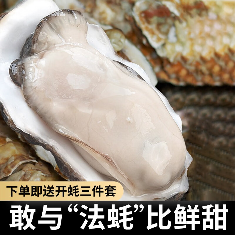 怎么看贝类的历史价格|贝类价格历史