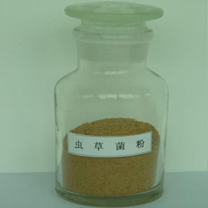 食芳溢虫草粉 虫草菌粉cs-4 发酵虫草菌丝体粉250克