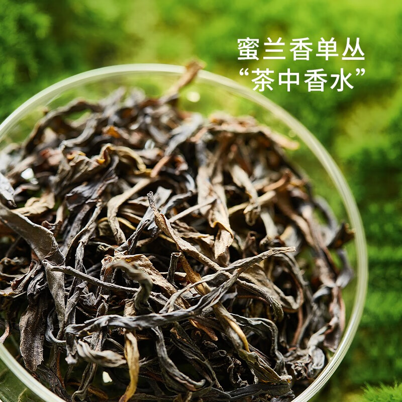 CHALI【肖战推荐】茶里公司青提乌龙茶铁观音茶叶水果茶包 茉莉花茶 青提乌龙7包
