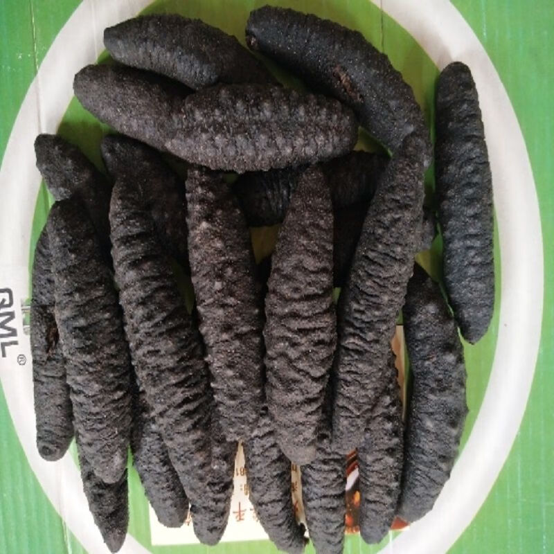 食芳溢冰岛雪参疙瘩米刺参北极海参土耳其黑海参进口海参野生淡干松籽