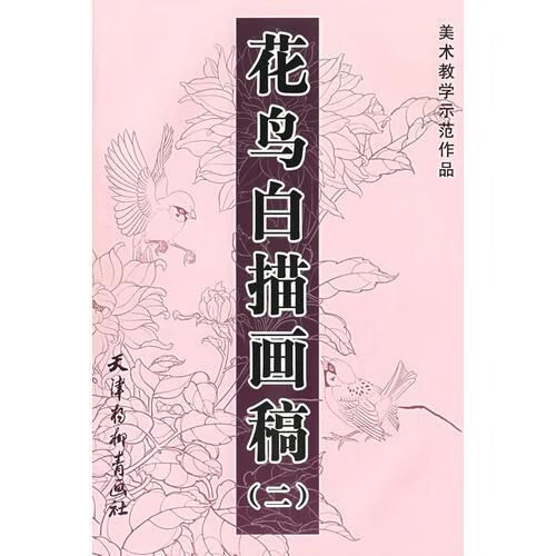 花鸟白描画稿二——美术教学示范作品