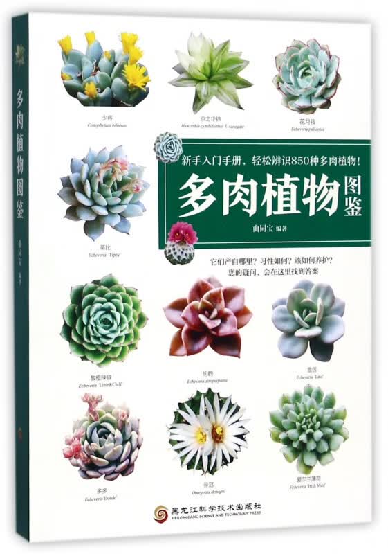 多肉植物图鉴