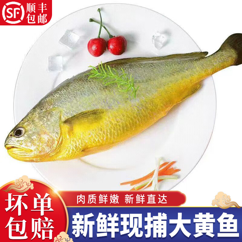 图安贝里 5条大黄鱼海鱼新鲜冷冻小黄花鱼海鲜水产鱼类2条深海鱼生鲜