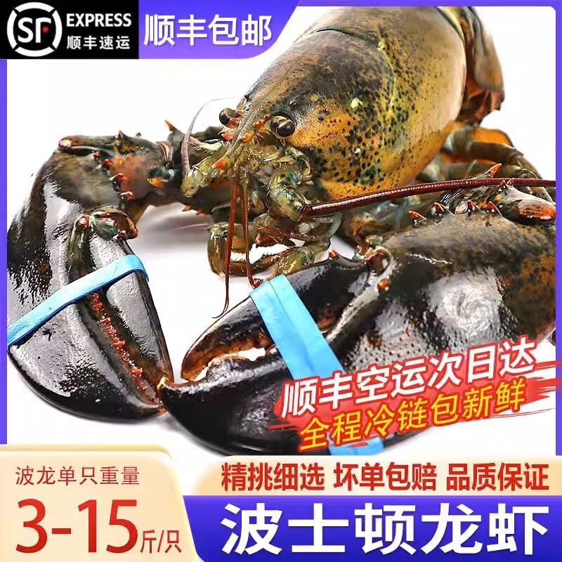 京东京东秒杀 2023-10-26 - 第20张  | 最新购物优惠券