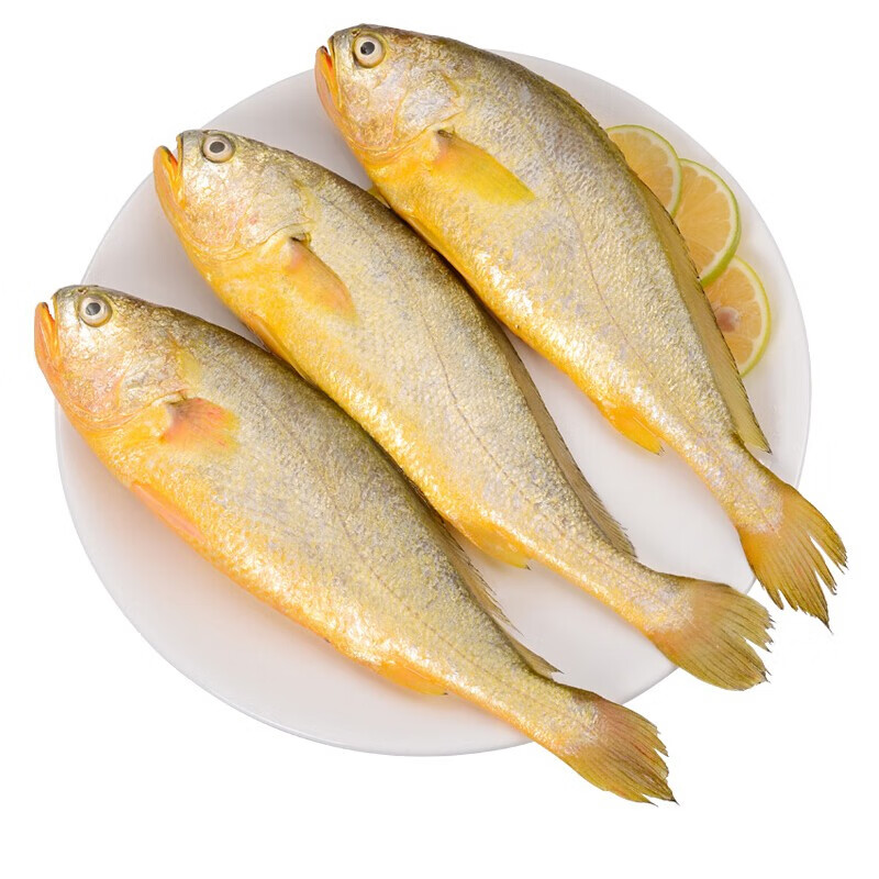 寰球渔市 大黄鱼750g （1条）黄花鱼  鱼类 海鲜水产 烧烤食材
