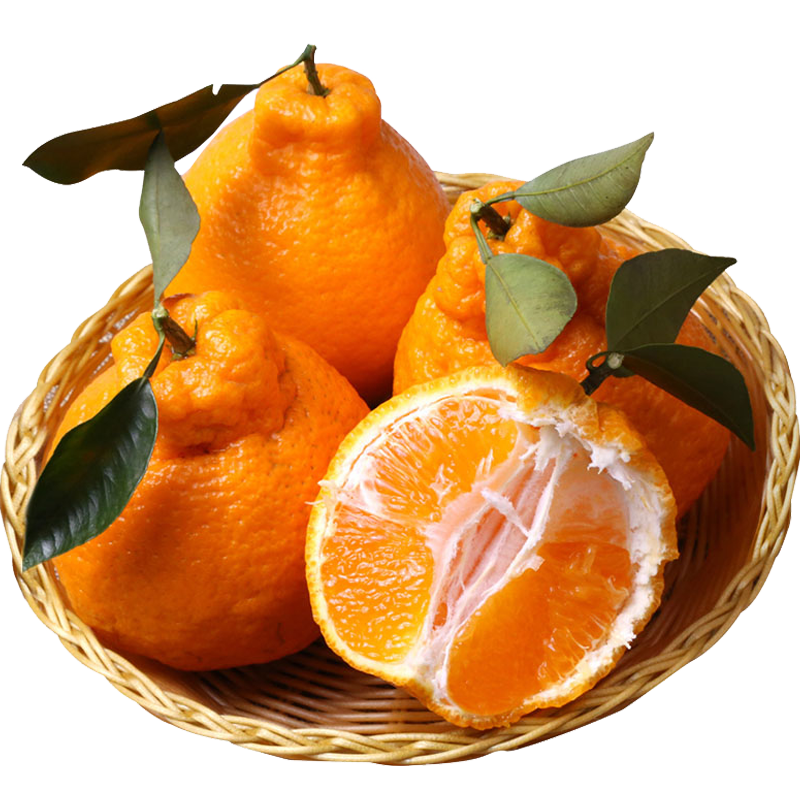 四川不知火丑橘无籽丑八怪橘子丑柑新鲜水果 带箱9-10斤大果80-90mm