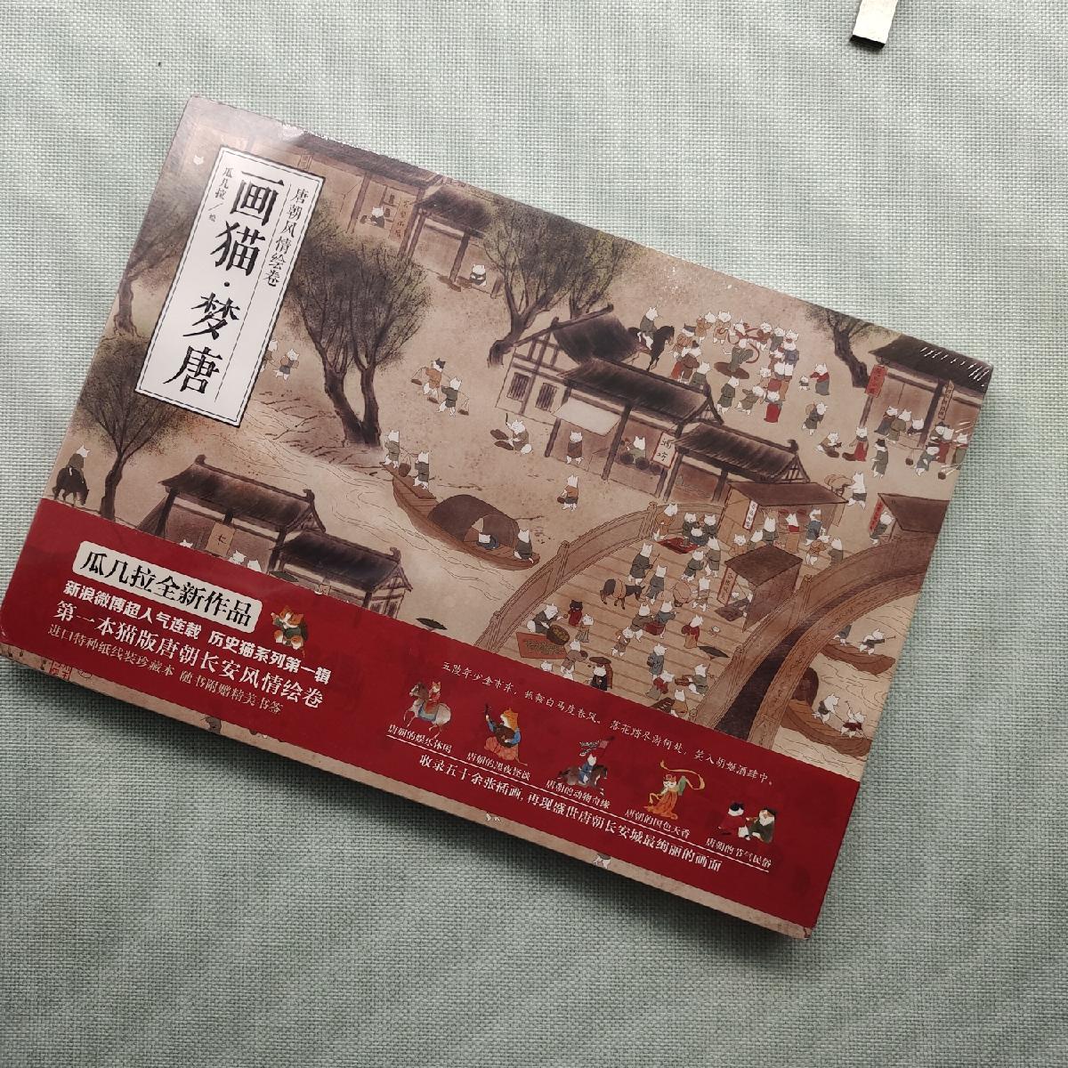 【二手八成新】画猫·梦唐