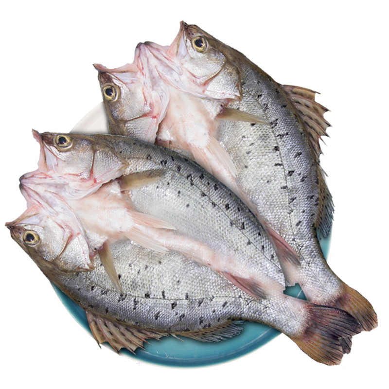 250㣻ʾȥ500g*3  ׽ر 1.5kg Դͷֱ57.9Ԫȯ