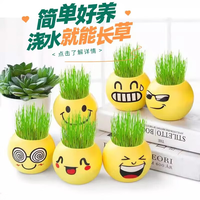 易囍艺长草娃娃浇水草头娃娃可爱迷你植物小盆栽幼儿园儿童创意礼物水培 随机表情罐1个+土+种子