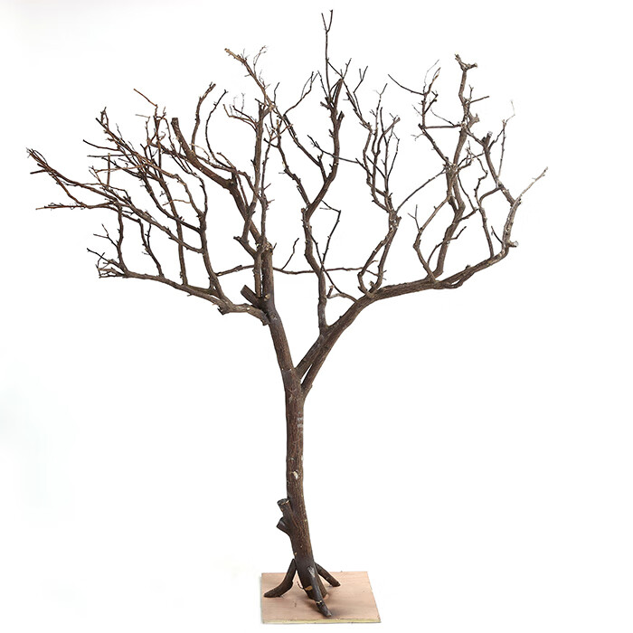 5米 现订现做 干树枝