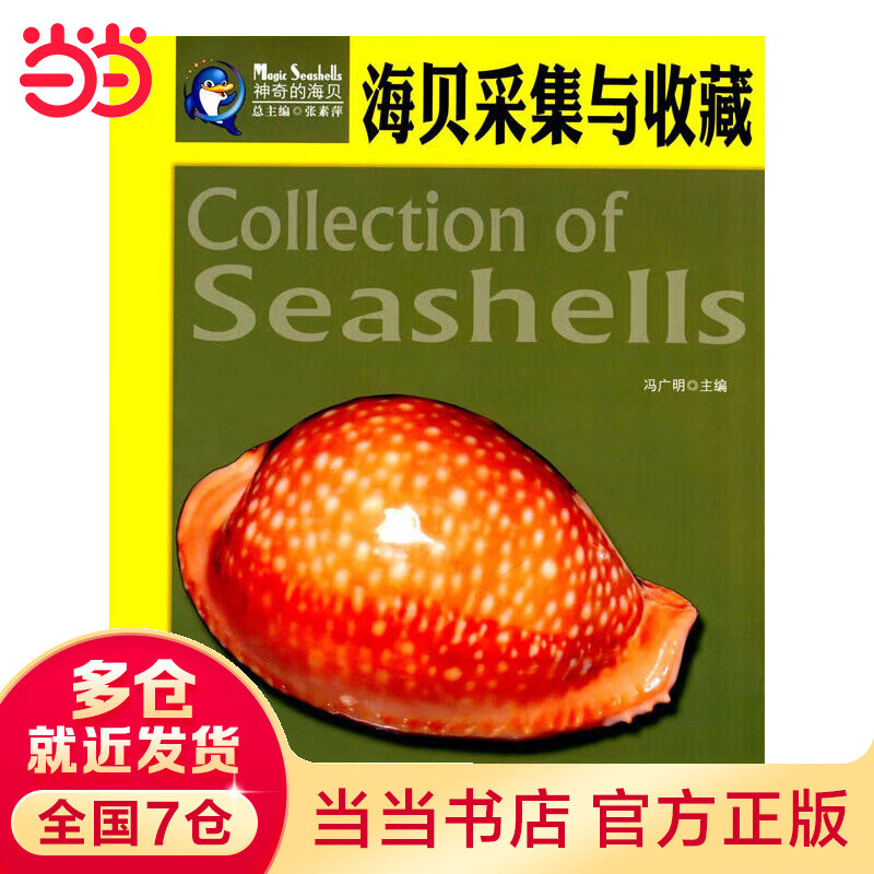海贝采集与收藏