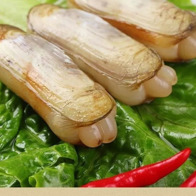 【新品】鲜活蛏子蛏王海蛏子现捞现发肥嫩营养活发带壳无污染新鲜 一