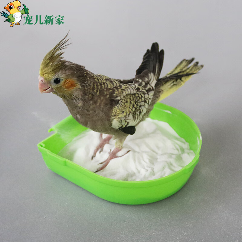 宠儿新家 鹦鹉沐浴砂500G 洗澡沙清洁沙 鸟儿洗澡减少细菌和异味 清洁羽毛怎么看?