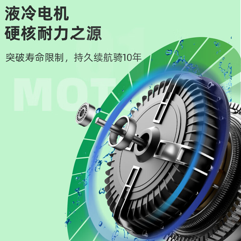 绿源(luyuan)新国标电动车48v代步车液冷电机亲子电瓶车男女式轻便