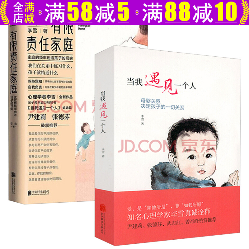 【包邮】李雪的书 当我遇见一个人姊妹篇有限责任家庭书籍 有限责任