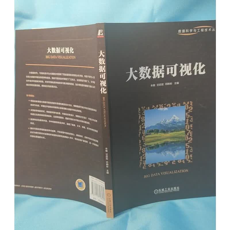 大数据可视化详情图