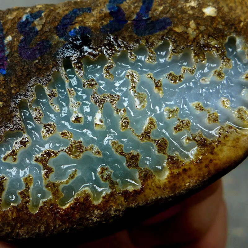 玉朵毛料玉石 缅甸天然a货翡翠原石487.05g s